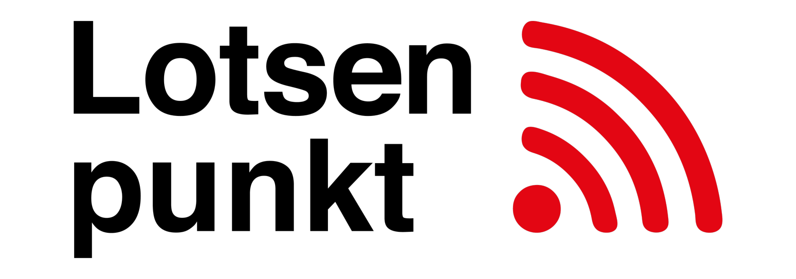 Logo Lotsenpunkt quer